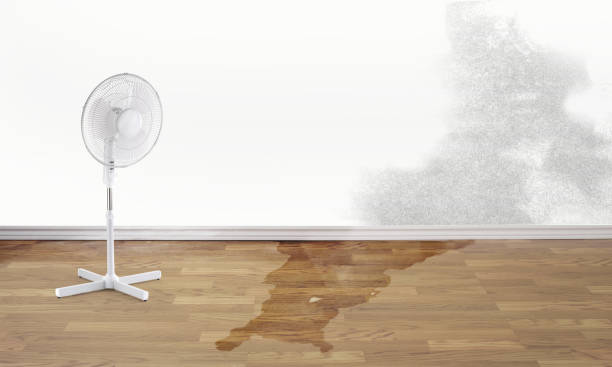Best 24-hour water damage restoration  in Lancaster, OH