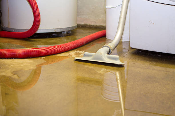Best Water damage restoration process  in Lancaster, OH